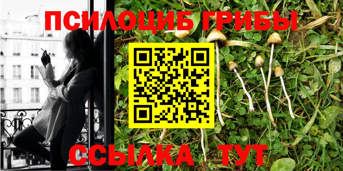 Cocaine Димитровград
