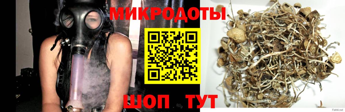 Галлюциногенные грибы Magic Shrooms Димитровград