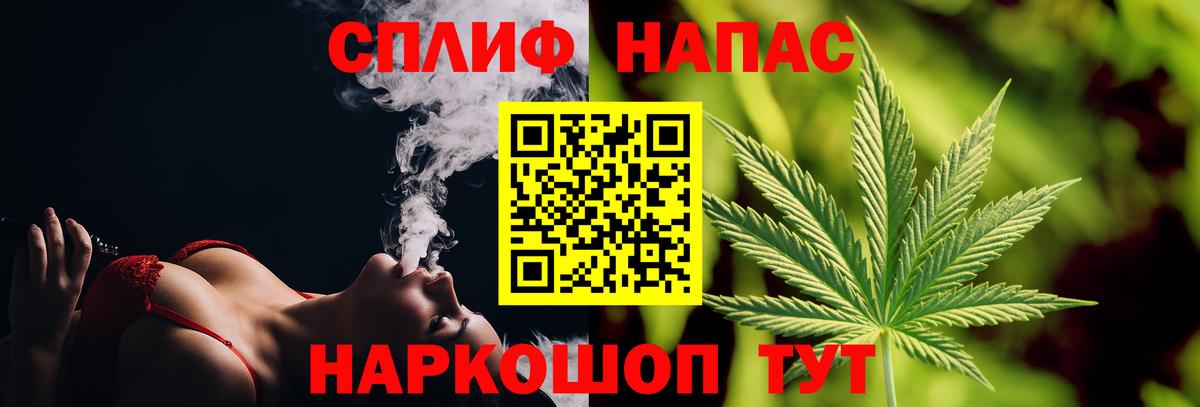 Бошки Шишки планчик Димитровград